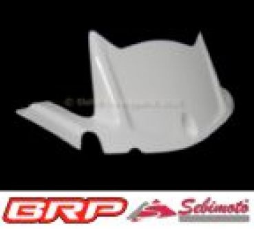 Kawasaki ZX 10R 2016-2020 Sebimoto Kotflügel hinten Hinterradabddeckung  rear fender