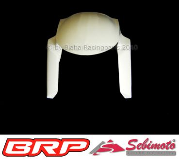 Kawasaki ZX 10R ab 2016 Sebimoto Kotflügel vorne Vorderradabddeckung Frontfender