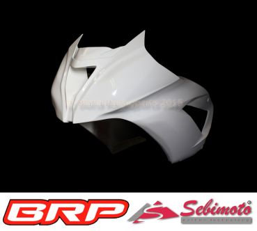 Kawasaki ZX 636 R von 2013 bis 2018 Sebimoto Oberteil ohne Scheinwerferausschnitt Upper part