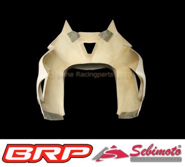 Kawasaki ZX 636 R von 2013 bis 2018 Sebimoto Oberteil ohne Scheinwerferausschnitt Upper part