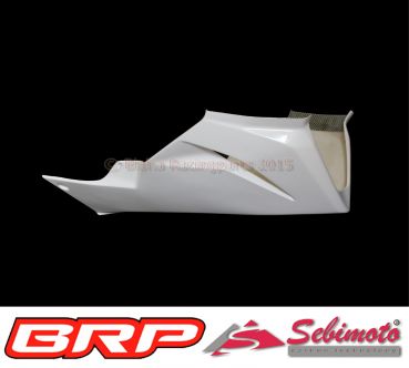 Kawasaki ZX 636 R von 2013 bis 2018 Sebimoto Rennverkleidung 2 teilig und Höcker offen Höckerplatte Vorderteil und Tankabdeckung