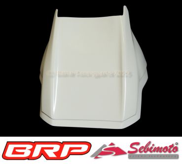 Kawasaki ZX 10R 2016-2020 Sebimoto Höckerschutzblech undertail
