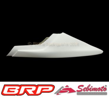 Kawasaki ZX 10R 2016-2020 Sebimoto Höckerschutzblech undertail
