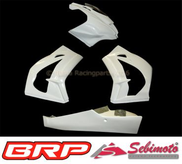Kawasaki ZX 10R 2016-2020 Sebimoto Rennverkleidung 4 teilig  fairing 4 parts