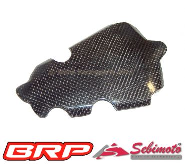 BMW S 1000RR 2009-2014 Sebimoto Zünddeckel / Ignition cover