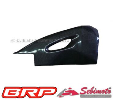 Suzuki GSX-R 600-750 2008 - 2010 Sebimoto Schwingenschutz rechts Swingarm protection right side