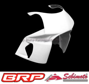 Yamaha FZR 600 1994 - 1995 Sebimoto Rennverkleidung 2 teilig. +  Höcker offen für Originalsitz racing fairing 2 parts + tailsection open for original seat