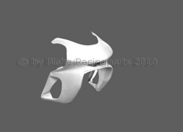 Yamaha YZF 600R Thundercat  1996 - 2004 Sebimoto Rennverkleidung 2 teilig. +  Höcker geschlossen für Moosgummi raing fairing 2 parts + tailsection close for foam rubber