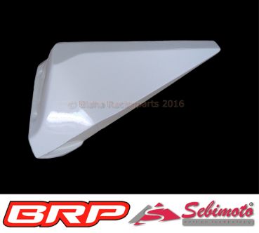 Sutter MMX - Moto2 2011 Sebimoto Höcker  Hinterteil  Tailsection, rear part