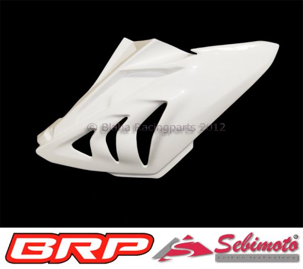BMW S 1000RR / 2012-2014 Sebimoto Seitenteil rechts / Side part, right
