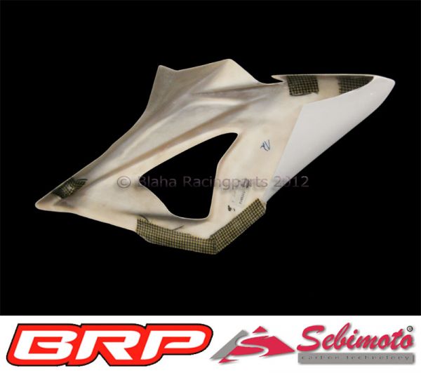 BMW S 1000RR / 2012-2014 Sebimoto Seitenteil links / Side part, left