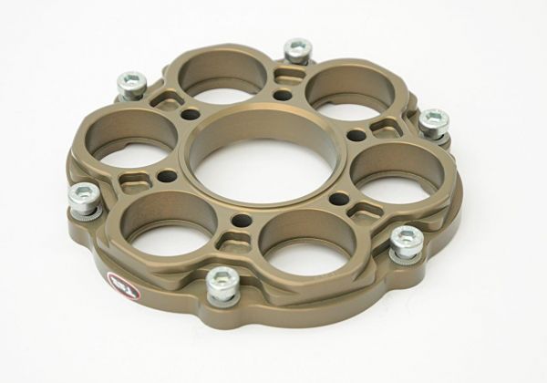 Ducati 1199 1299 Panigale TSS Kettenradträger sprocket carrier 10305