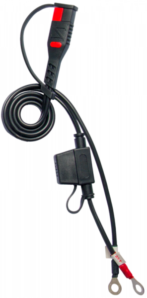 BS BATTERY BS10 Intelligentes Batterieladegerät - 6V/12V 1A