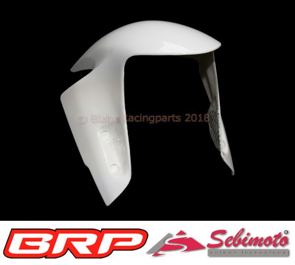 Ducati Panigale V4 2018 Sebimoto Kotflügel vorne Front fender
