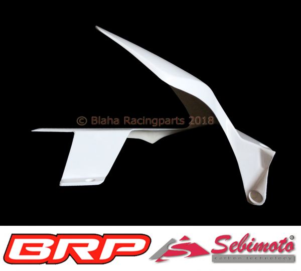 Ducati Panigale V4 2018 Sebimoto Kotflügel hinten Hinterradabdeckung rear fender