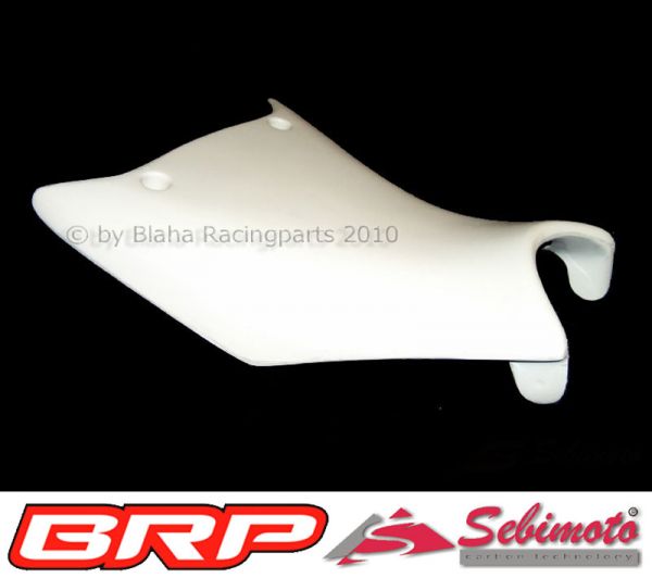 BMW S 1000RR 2009-2011 Sebimoto Rennverkleidung 2 tlg. Unterteil für Racing Auspuffanlage + Höcker offen Luftrohr Höcker-Vorderteil und Platte