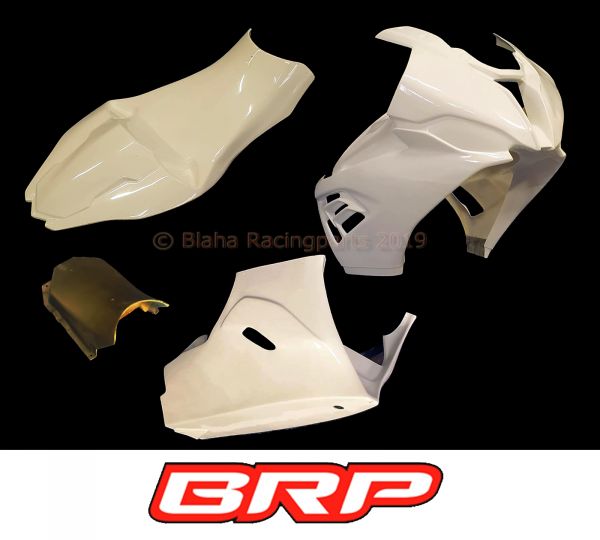 BMW S1000RR S 1000 RR S1000 2019 Sebimoto Verkleidung Verkleidungen Racinverkleidung Höcker