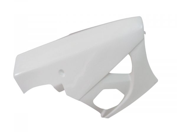 Suzuki GSX R1000/07-08 - Motocarbons Unterteil GFK