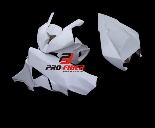 BMW S 1000RR 2009-2011 PRO-FIBER  GFK Race Verkleidung mit OEM/SS Race Sitzeinheit