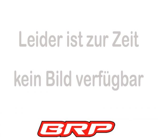 Honda CBR 600RR 2007-2012 PC40 Sebimoto Auspuffhitzeschutz Exhaust heat protection
