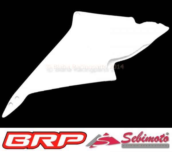 Aprilia RSV 1000 Mille 1998 - 2000 Sebimoto Höcker Rahmenschutz rechts frame protection for tail right side