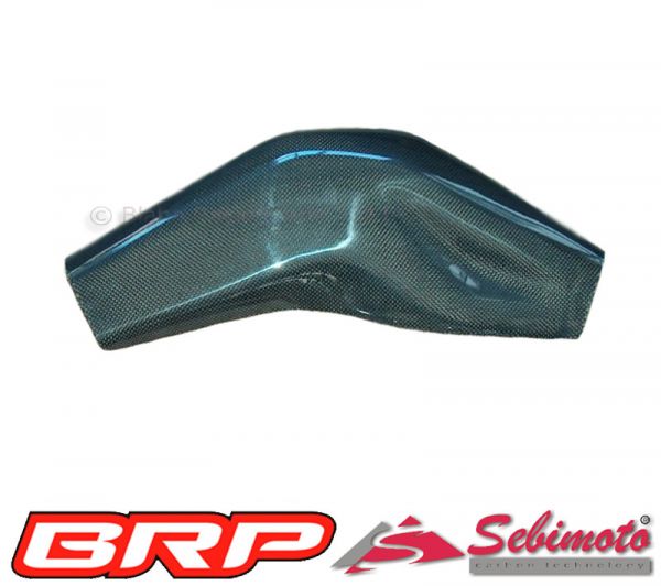 Aprilia RSV 1000 R Factory 2004 - 2008 Sebimoto Schwingenprotektor rechts  Swingarm protection right side