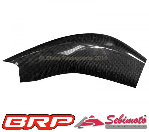 Aprilia RSV 1000 Mille 1998 - 2003 Sebimoto Schwingenschutz rechts swingarm protection right side