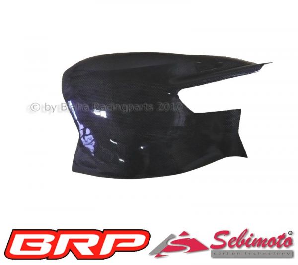 Ducati 848-1098-1198 Sebimoto Schwingenschutz Schwingenprotektor Swingarm protection