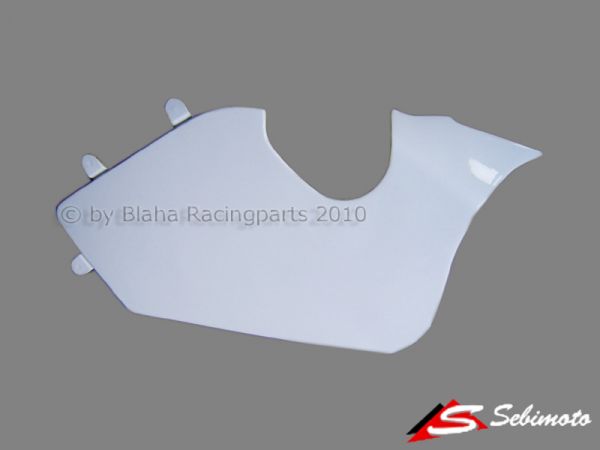 FTR M210 - Moto2 Sebimoto seitliche Abdeckung links Covering left side
