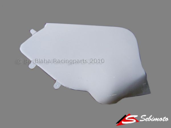 FTR M210 - Moto2 Sebimoto seitliche Abdeckung rechts Covering right side
