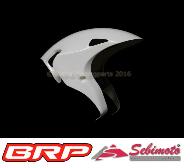 Honda RCV214 MotoGP Replica auf Basis SC59 2008 bis 2015 Sebimoto Kotflügel vorne Vorderradabddeckung  Frontfender
