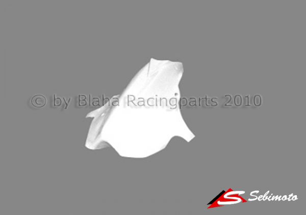 Kawasaki ZX 9R 1998-2003 Sebimoto Unterteil geschlossen Lower part close