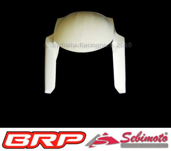 Kawasaki ZX 636 R von 2013 bis 2018 Sebimoto Kotflügel vorne Vorderradabddeckung Frontfender