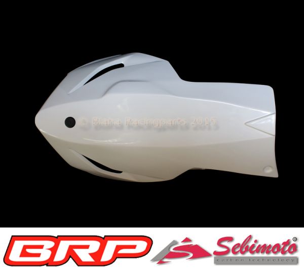 Kawasaki ZX 636 R von 2013 bis 2018 Sebimoto Unterteil geschlossen Lower part closed