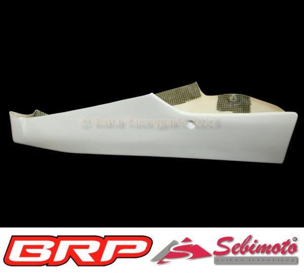Kawasaki ZX 10R 2016-2020 Sebimoto Unterteil geschlossen  lower part
