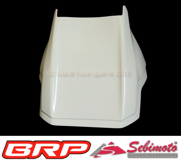 Kawasaki ZX 10R 2016-2020 Sebimoto Höckerschutzblech undertail