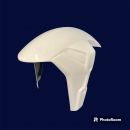 BMW S 1000 RR 2023 Sebimoto Kotflügel vorne front fender