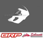 Honda CBR 600 FS PC35 2001 bis 2002 Sebimoto Rennverkleidung 2 teilig. + Höcker geschlossen (für Moosgummi) Fairing 2 parts, lower part racing + tailsection closed model for foam rubber