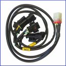  BMW plug in Adapterkabel für Starlane Schaltautomat Quickshifter IONIC plug in connecting cable